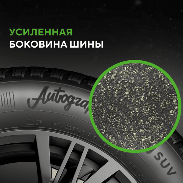 Шина Ikon Tyres 275/55 R20 117R XL Autograph Snow 3 SUV