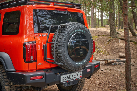 Лестница РИФ для установки на запасное колесо 13