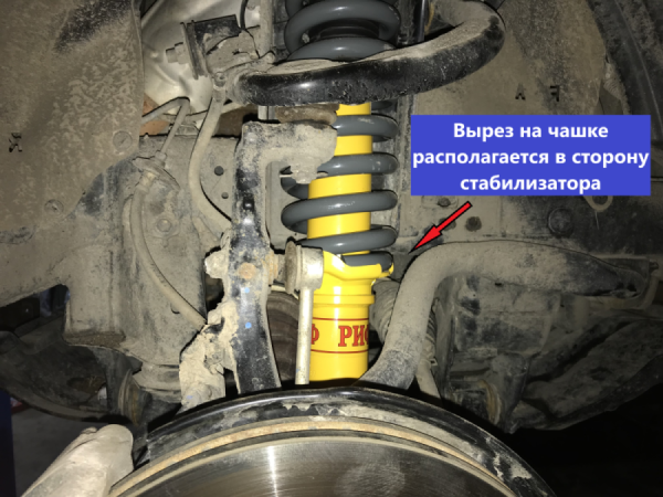 Расположение чашки Расположение чашки