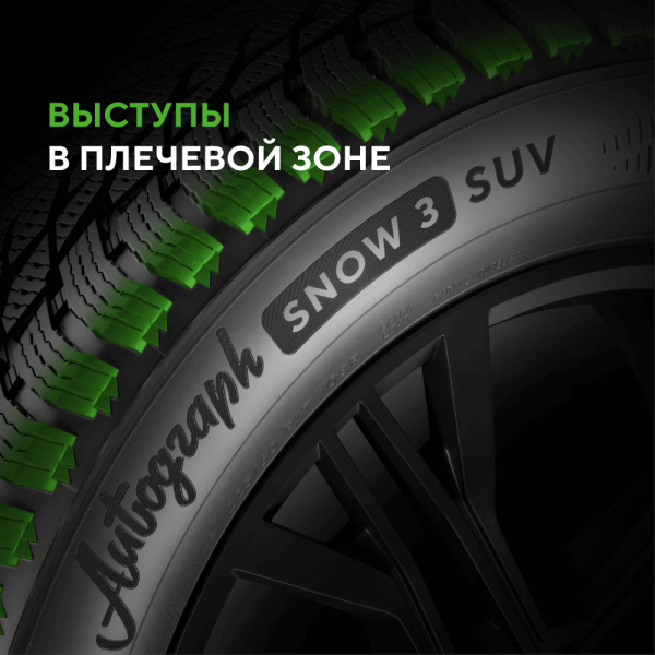 Шина Ikon Tyres 275/55 R20 117R XL Autograph Snow 3 SUV